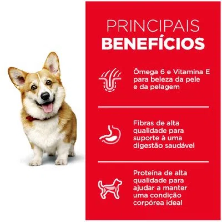 Racao-Hills-Caes-Adultos-Pedacos-Pequenos-5-770x770