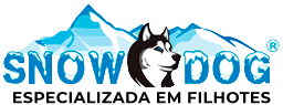 SnowDog – Filhotes em Curitiba